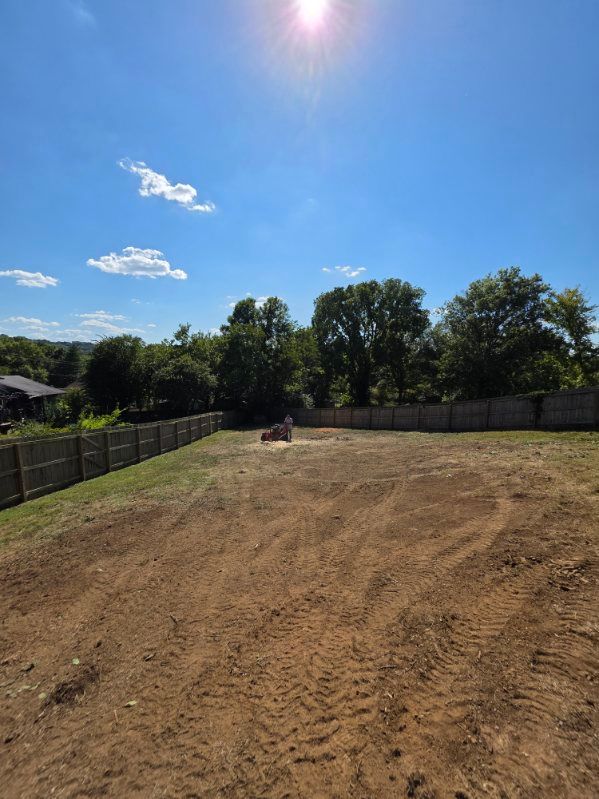 All Photos for Jace’s Tree & Stump Removal in Franklin, TN