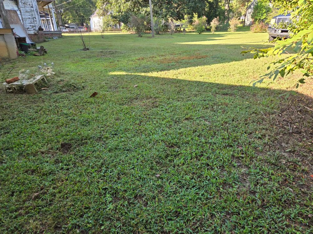 Landscaping for Fresh Cut Yard & Lawn Care LLC in Forsyth, GA