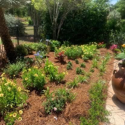 All Photos for Wheelhouse Irrigation and lighting in Charleston, South Carolina