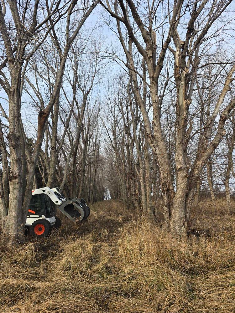 Our Fall Clean Up service ensures your property stays pristine by removing leaves and debris from lawns and gardens while preparing trees for winter with expert pruning to promote healthy growth. for Tree Tech in Luverne, MN
