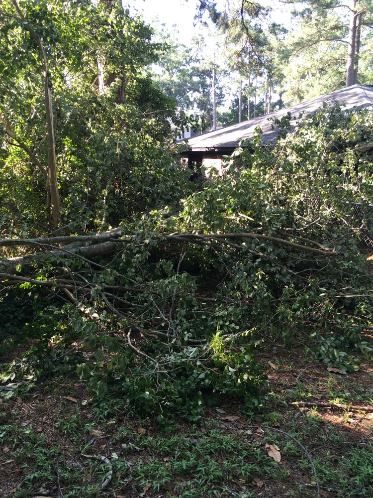 All Photos for Tucker's Tree Service and Stump Grinding in Lugoff, SC