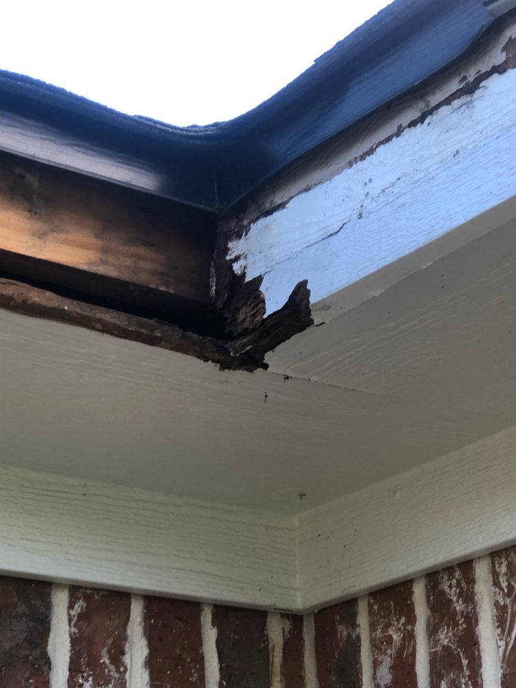 All Photos for Bobcat Gutters in Longview, TX