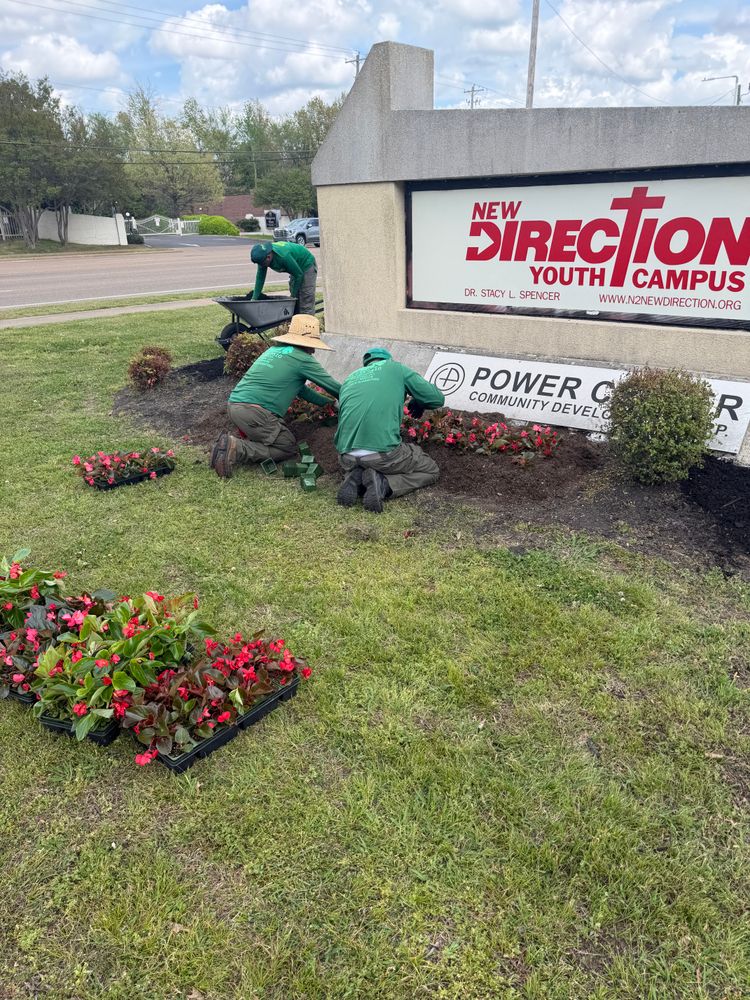 All Photos for Kingdom Landscaping in Memphis, TN