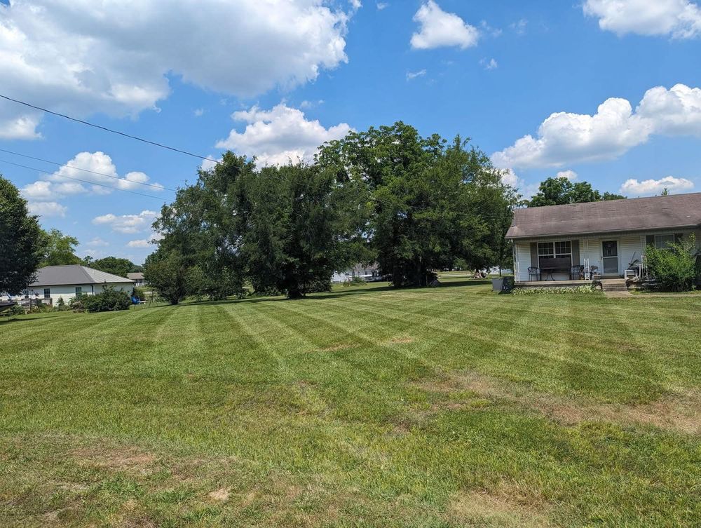 All Photos for JC Land Clearing in Shelbyville, TN