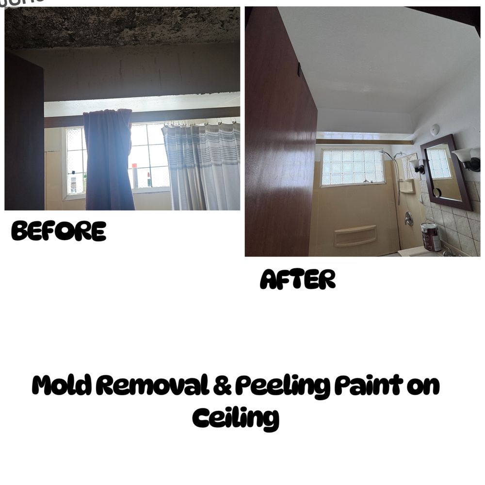 Interior Painting for Prestige Milwaukee in Milwaukee, WI