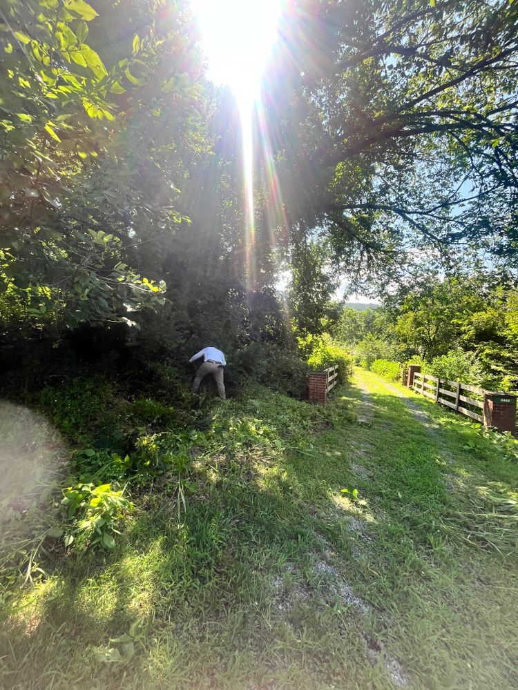 All Photos for Ricky's Tree Service & Property Care in Orange, VA