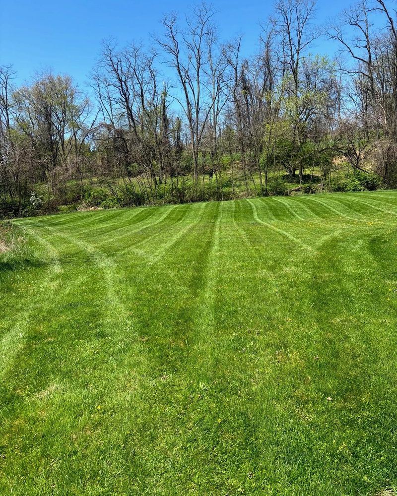 All Photos for Mark's Multiple Landscaping in Pittsburgh, PA