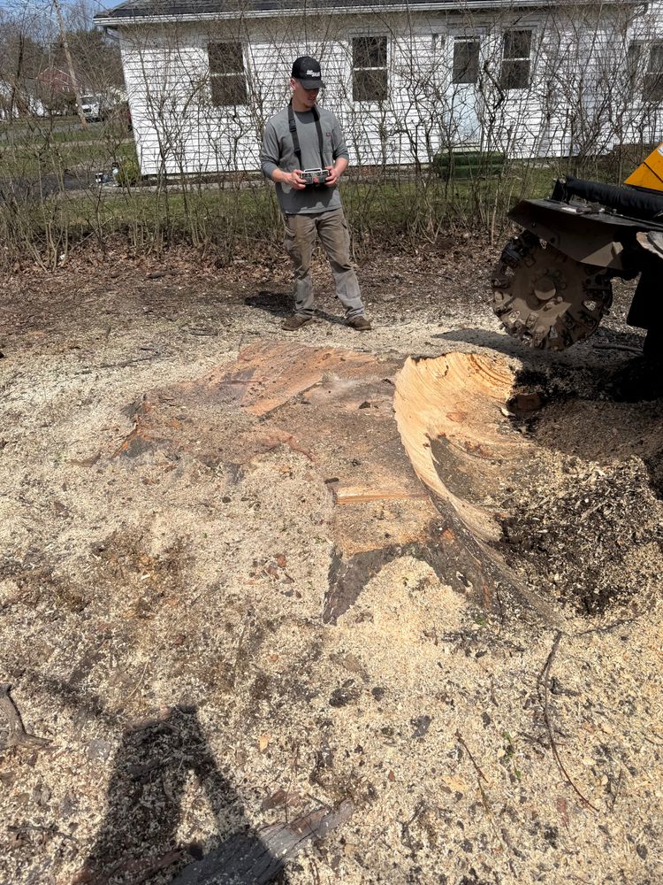Timber Sales for Lovenguth Logging and Tree Service in West Monroe, NY