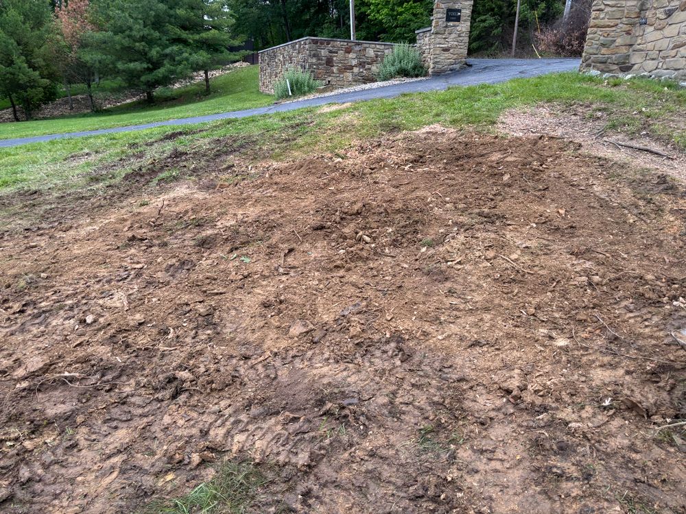 All Photos for Conrad's Stump Removal in Columbus, IN