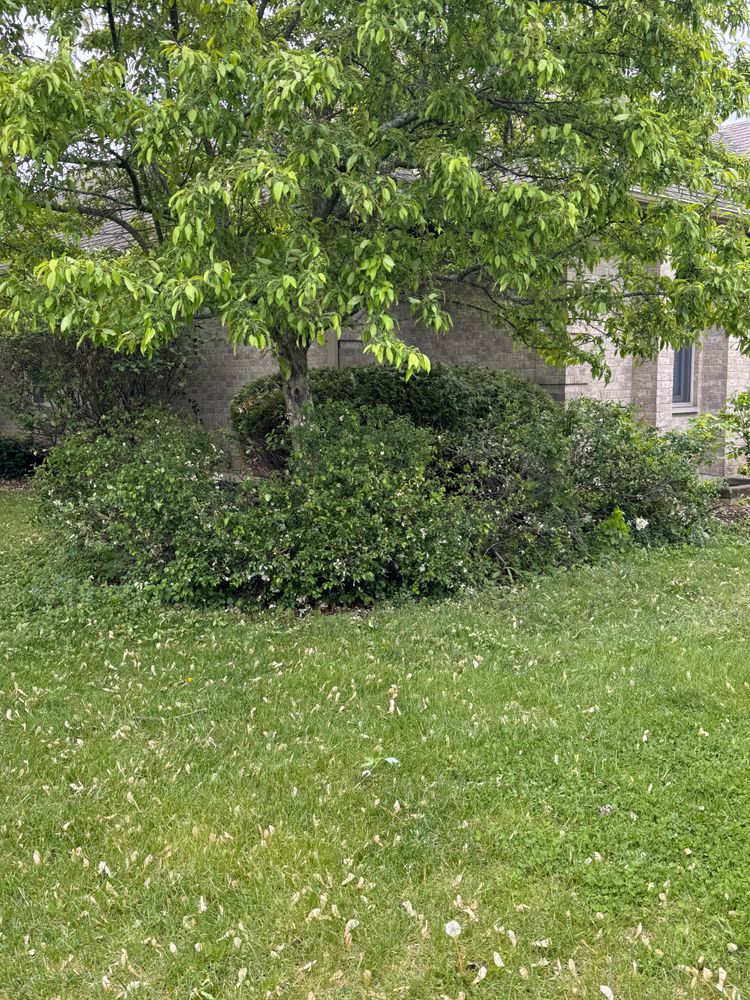 All Photos for H&L Lawn Care LLC in Twin Lakes, WI