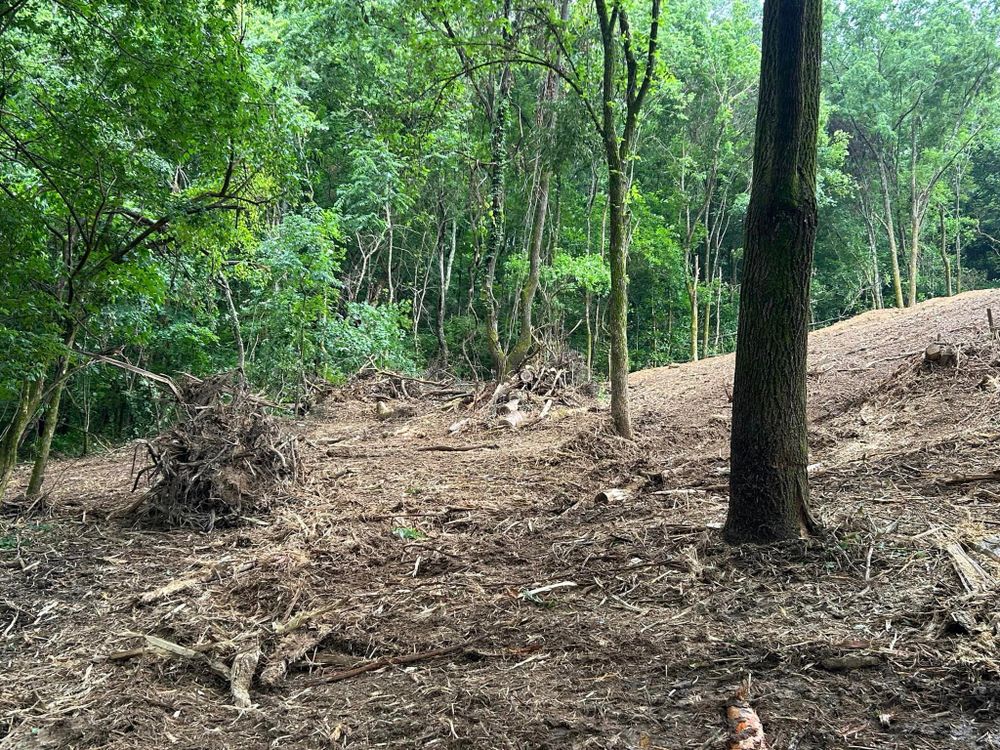 Land Clearing for TriStar Land Clearing & Mulching in Murfreesboro, TN