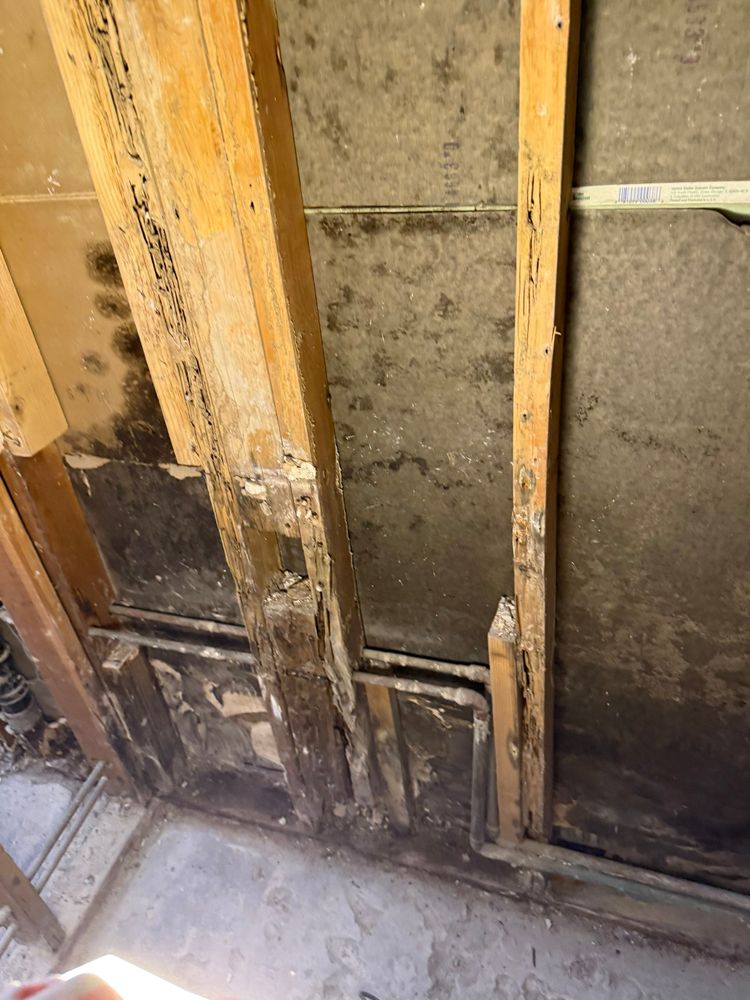 All Photos for ACM Environmental in Salt Lake City, UT