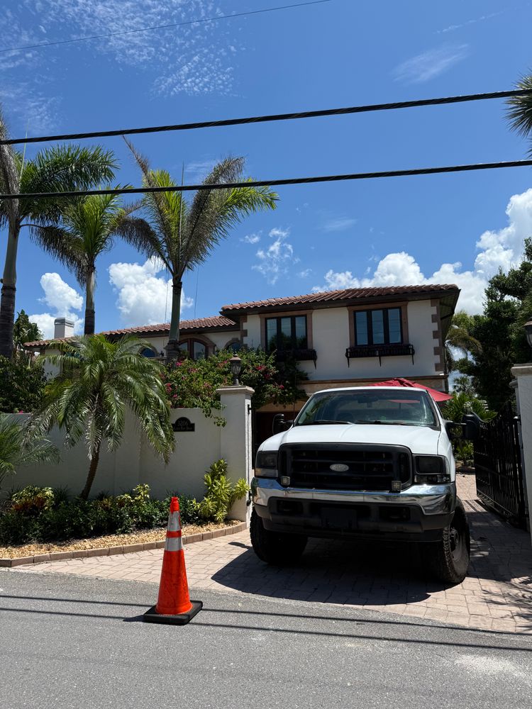 Tree Removal for Damian’s Tree Care in Sarasota, FL
