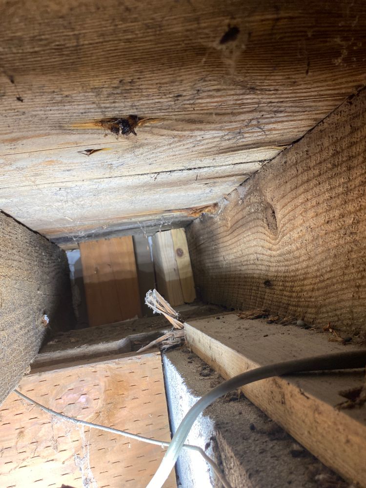 All Photos for Tony's Remodeling & Painting in Renton, WA