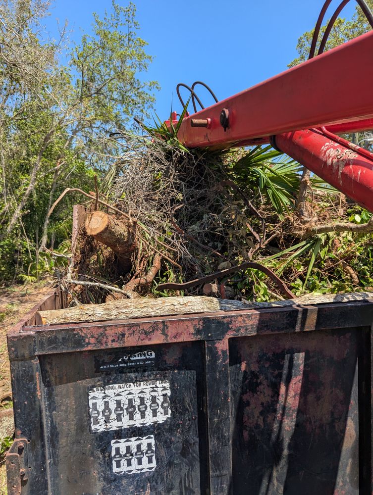 All Photos for Regal Tree Service and Stump Grinding in Wauchula, FL