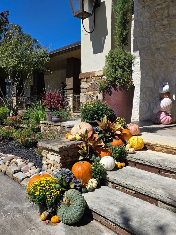 Landscaping for Bruno's Professional Lawn's & Landscape in Beaumont, TX