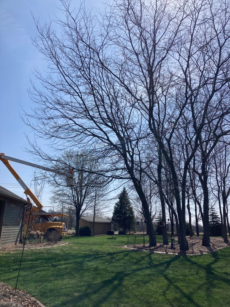 All Photos for Village Tree Service  in Whitestown, IN