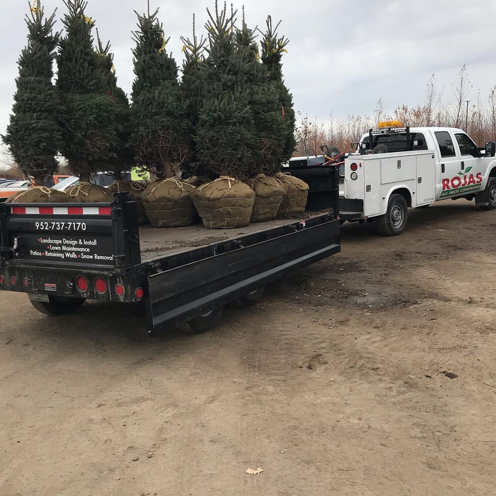 Landscaping for Rojas Services in Northfield, MN
