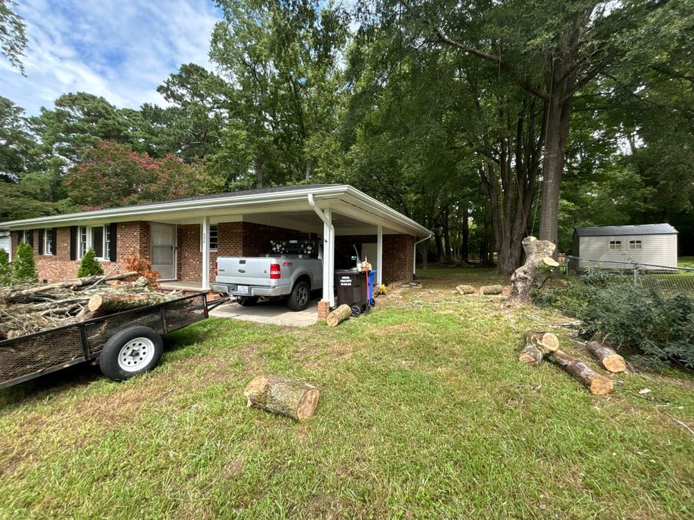 Tree Services for Total Tree Care in Erwin, North Carolina