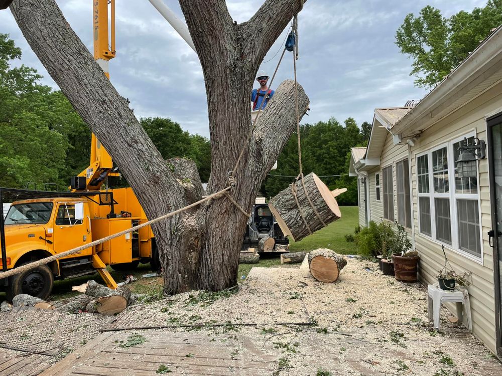 All Photos for ArborMax in Thomaston, GA