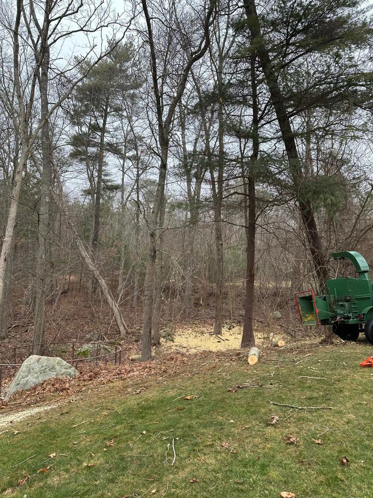 All Photos for Silver City Tree and Landscape in Taunton, MA