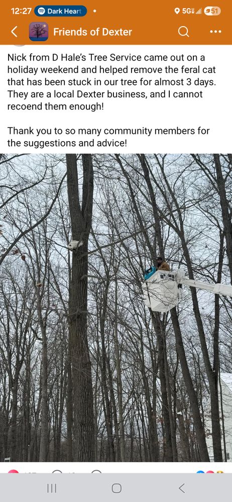 All Photos for D Hale Tree Service in Ann Arbor, MI