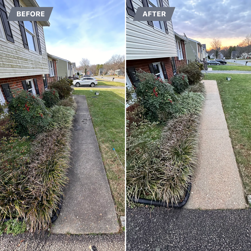 All Photos for LeafTide Solutions in Richmond, VA