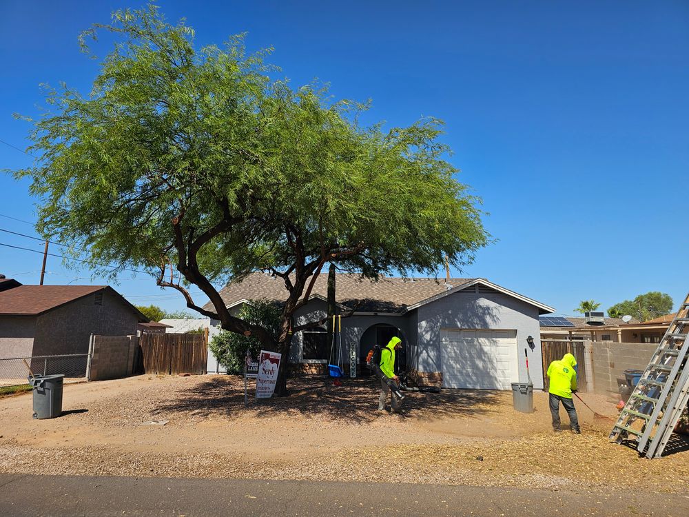 All Photos for T's Tree Service and Firewood in Apache Junction, AZ