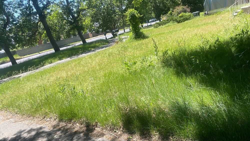 All Photos for Troy’s Handyman Services in Billings, MT