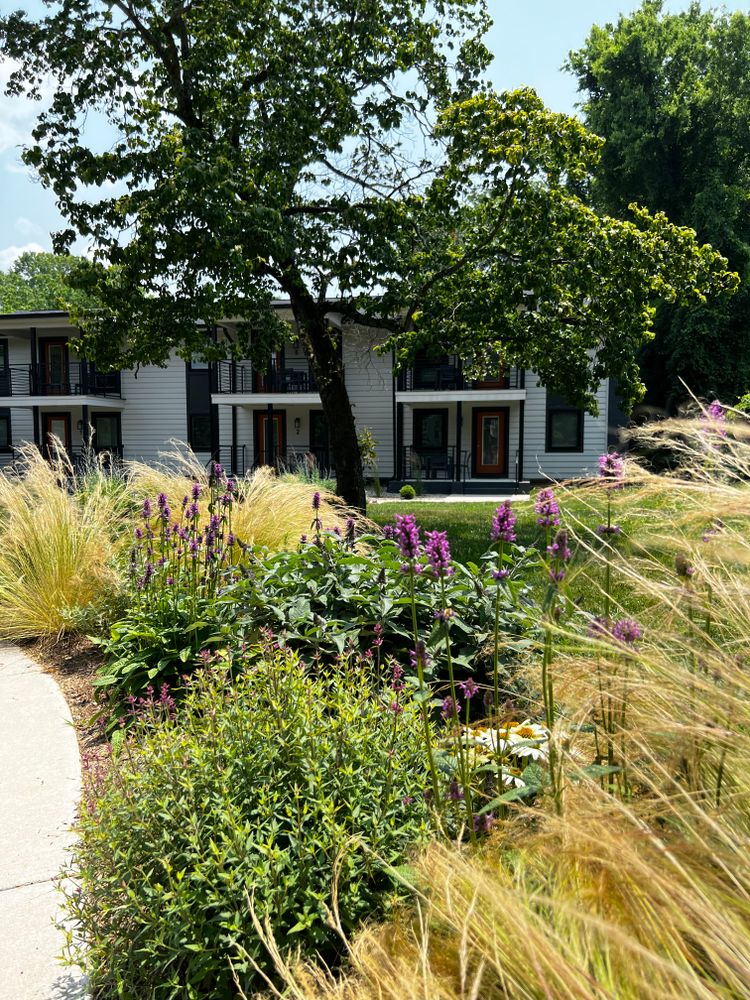 All Photos for Christina King Landscape Design in Raleigh, NC