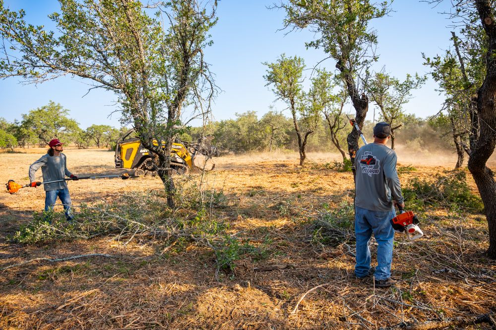 Tree Trimming and Removal for 512 Land Clearing in Blanco County, TX