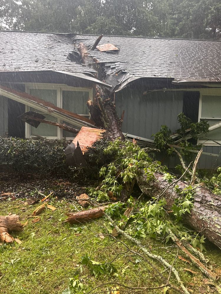 All Photos for Bulldawg Disaster Response in Atlanta, GA