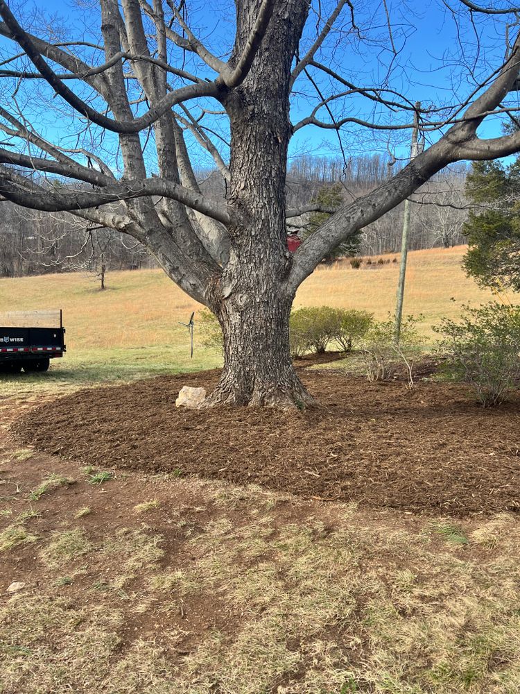 All Photos for Valencia’s Lawncare in Charlottesville, VA