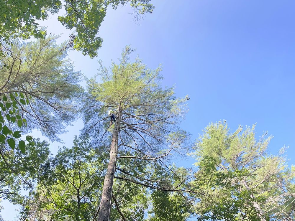 Green In Green Out Tree Services team in Westbrook, ME - people or person