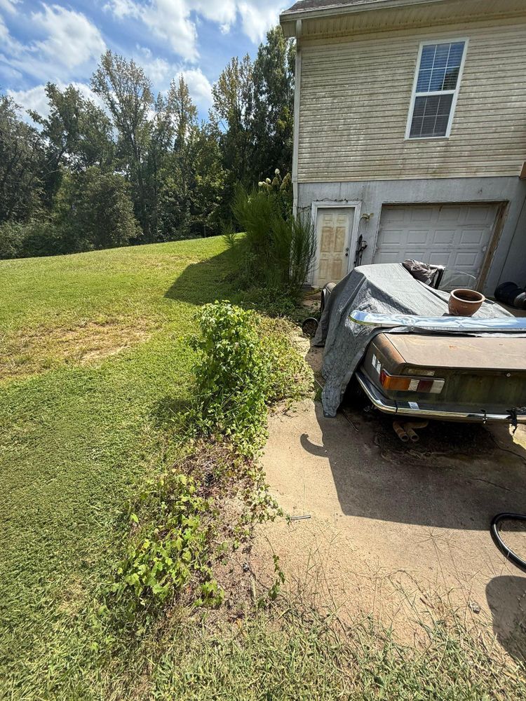 All Photos for Healthy Roots Landscaping in Apex, NC