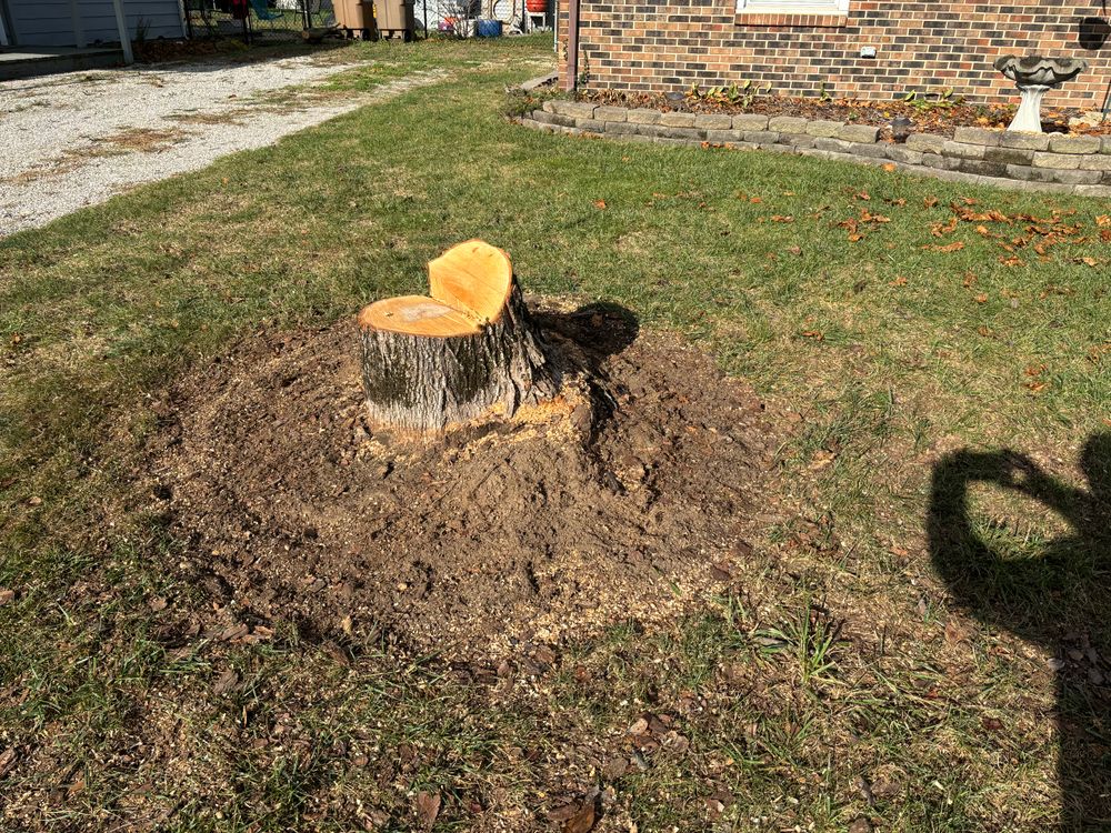 All Photos for Conrad's Stump Removal in Columbus, IN