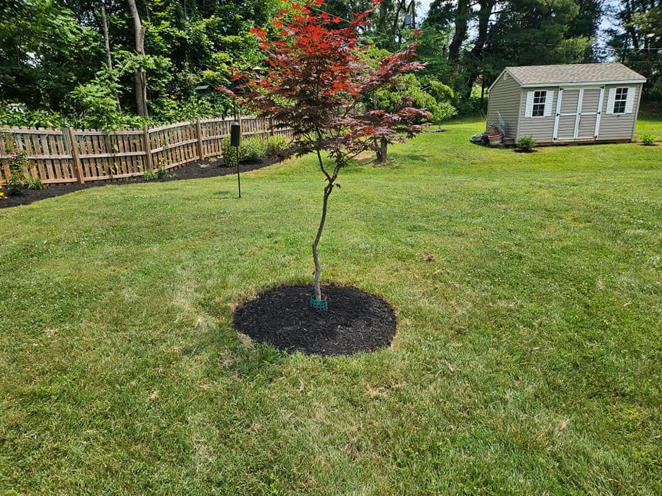 Lawn Care for Browns Grounds in Culpeper, VA