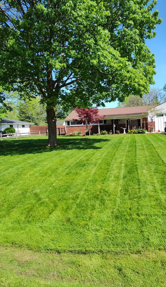 Lawn Care for Lanzdorf Lawn & Landscaping  in Stow, OH