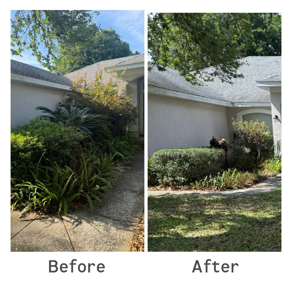 All Photos for Amerigrown Tree And Lawn in Apopka, FL