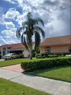 All Photos for ASAP Tree Service in Sebastian, FL