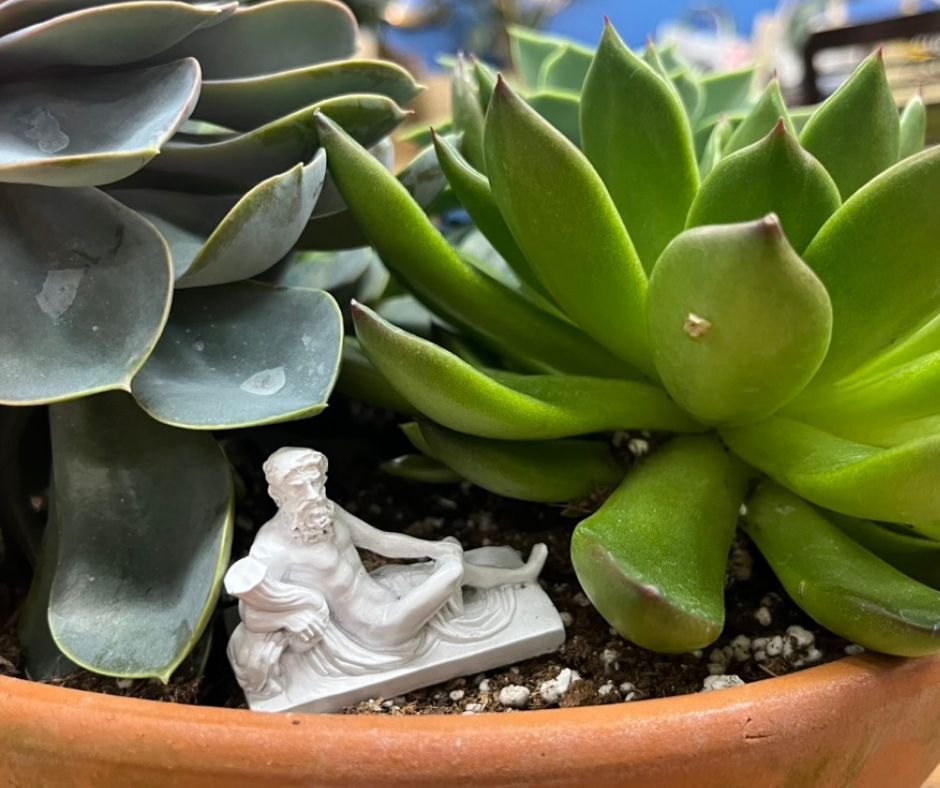 All Photos for The Dailey Daisy in Hardwick, VT