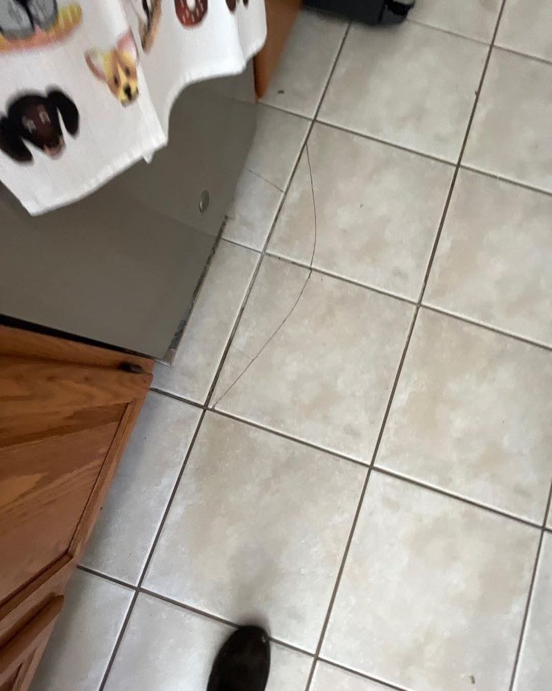 All Photos for Cotanny Construction LLC in Austin, TX