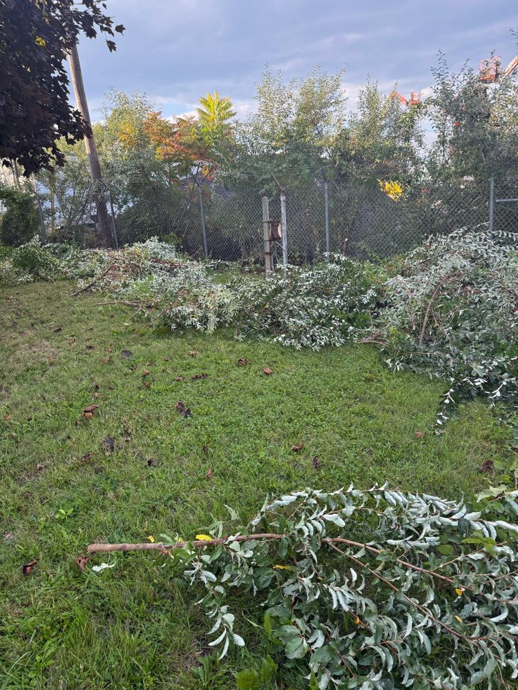 All Photos for Lucas Property Maintenance LLC in New Bedford, MA