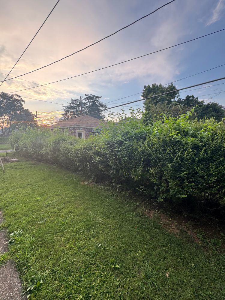 All Photos for Landscape & Lawn Care Pros in Allentown, PA