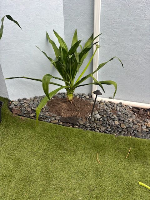 All Photos for Madissons Green in West Palm Beach ,   FL