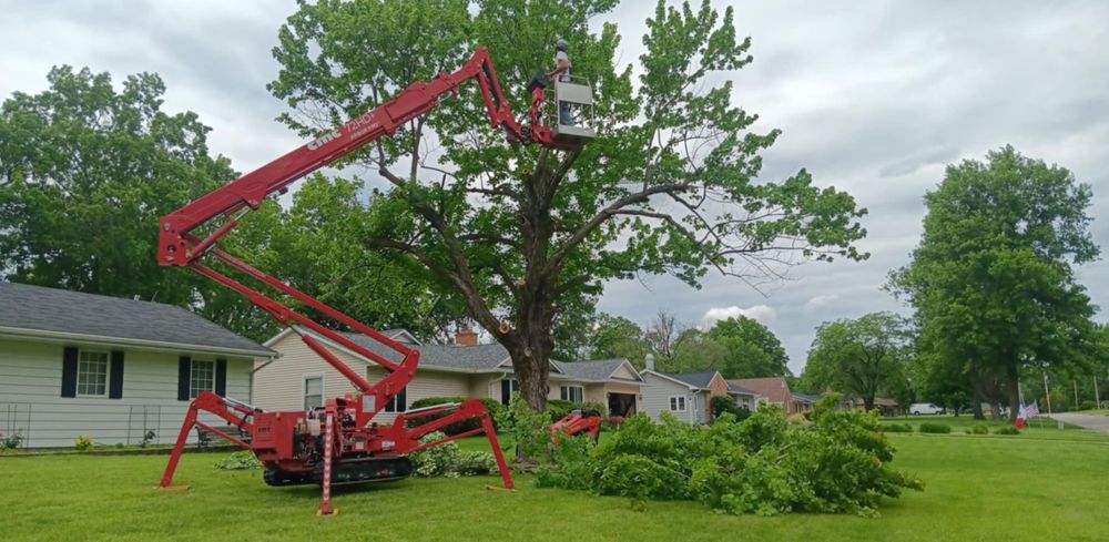 All Photos for Lawn Ranger Yard And Tree Service LLC in Ottumwa, IA