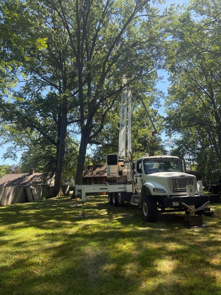 All Photos for Down To Earth Tree Service, LLC in Westlake, OH