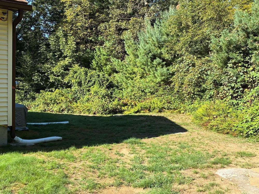 All Photos for Triple C’s Excavation in Ashford, CT