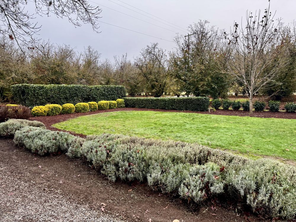 All Photos for Local Tree Removal & Landscaping You Can Trust  in Albany, OR