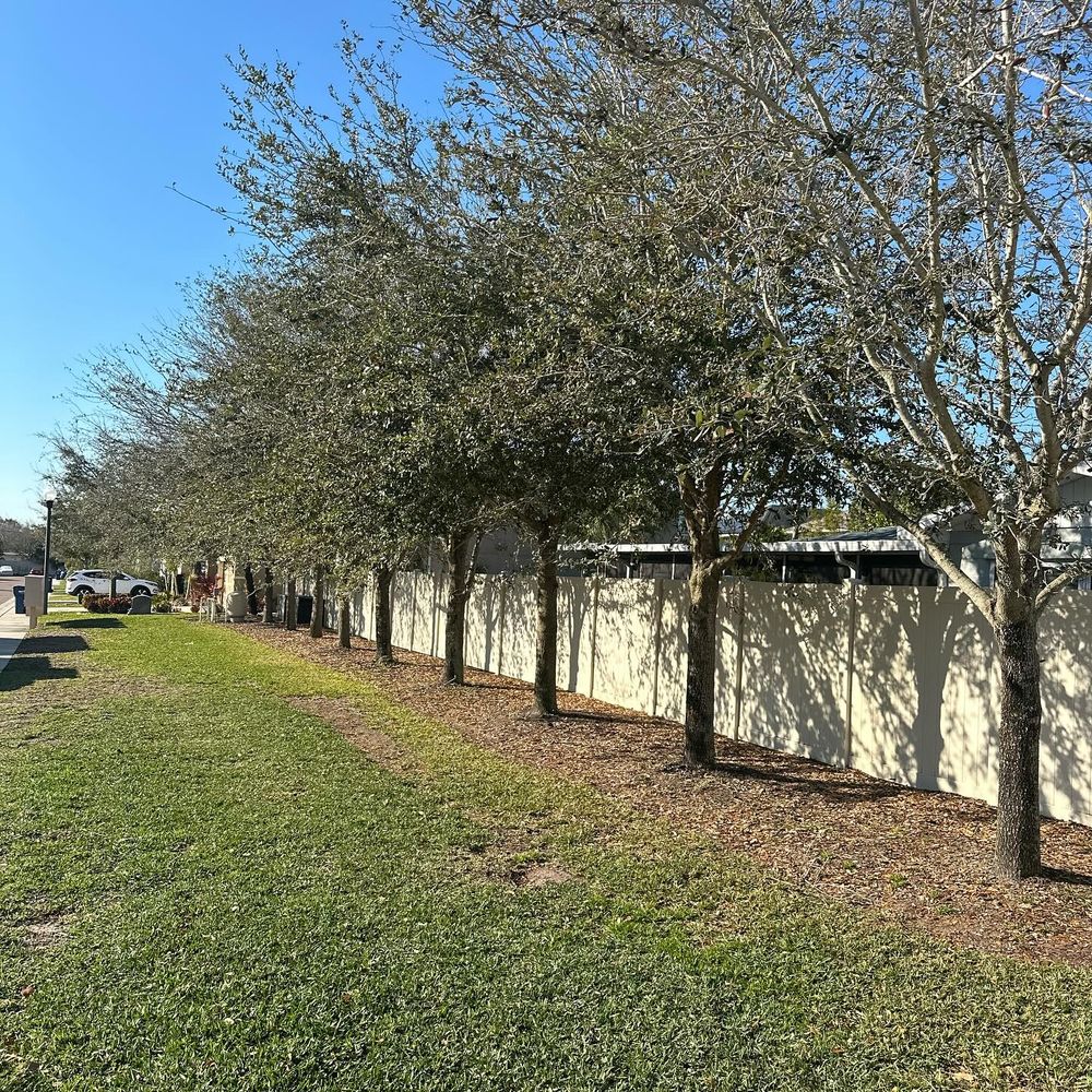 All Photos for GS Lawn & Landscape in Clearwater, FL